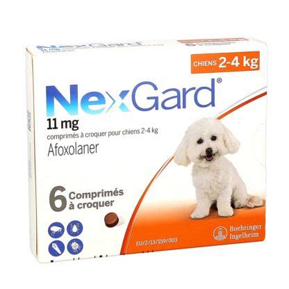 NexGard pour chien