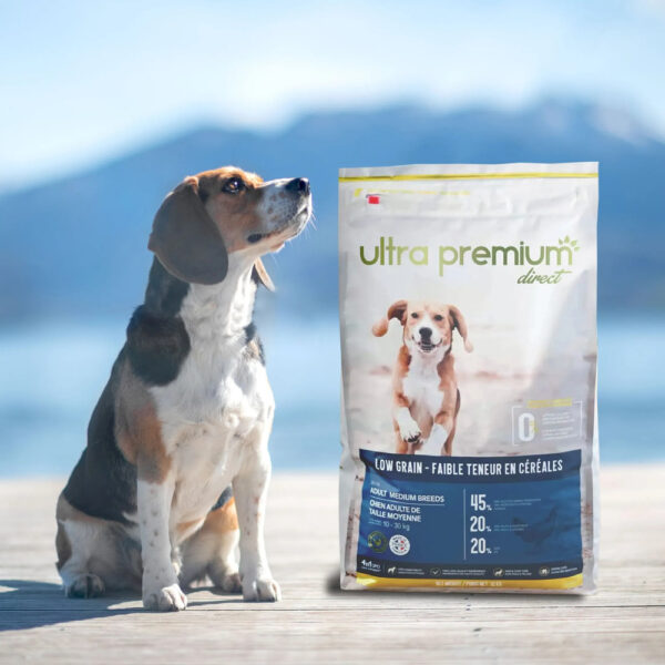 Ultra Premium Direct : alimentation pour chiens, recettes, rations et conseils