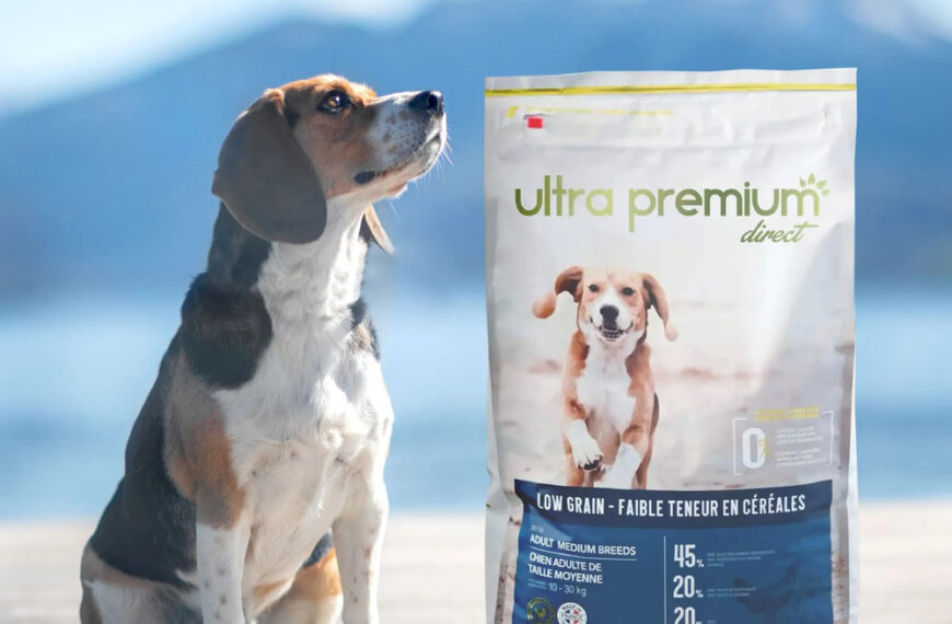 Ultra Premium Direct : alimentation pour chiens, recettes, rations et conseils